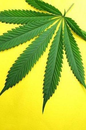 Indiana Teen Arrested for Selling Marijuana IMAGE