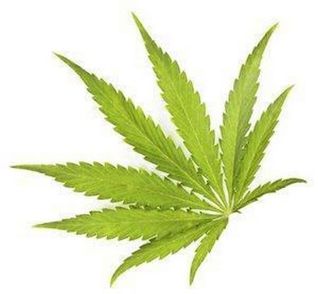 marijuana decriminalization, marijuana possession, Illinois criminal law, criminal defense, laweyr attorney